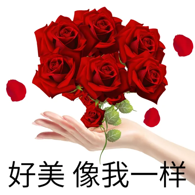好美像我一样（好美像我一样）