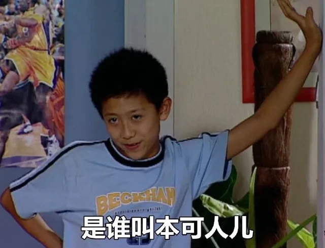是谁叫本可人儿（是谁叫本可人儿）