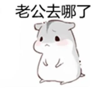 老公去哪儿了
