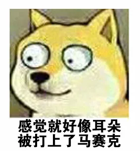 感觉就好像耳朵被打上了马赛克（感觉就好像耳朵被打上了马赛克）