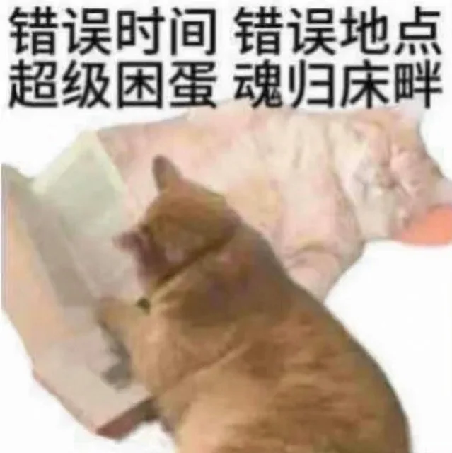 错误时间错误地点超级困蛋魂归床畔（错误时间错误地点超级困蛋魂归床畔）