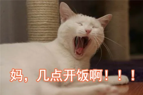 妈，几点开饭啊！！