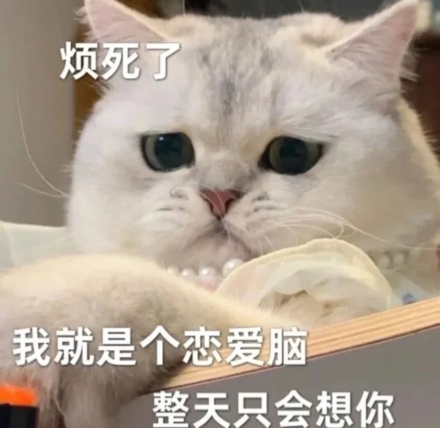 烦死了我就是个恋爱脑整天只会想你（烦死了我就是个恋爱脑整天只会想你）