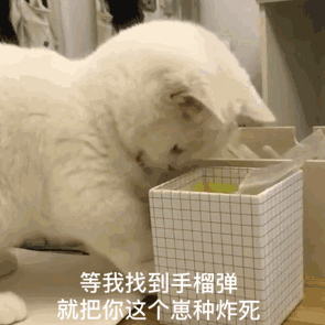 等我找到手榴弹就把你这个崽种炸死（等我找到手榴弹就把你这个崽种炸死）