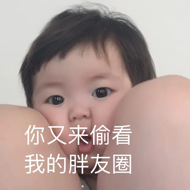 你又来偷看我的胖友圈