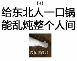 给东北人一口锅，能乱炖整个人间