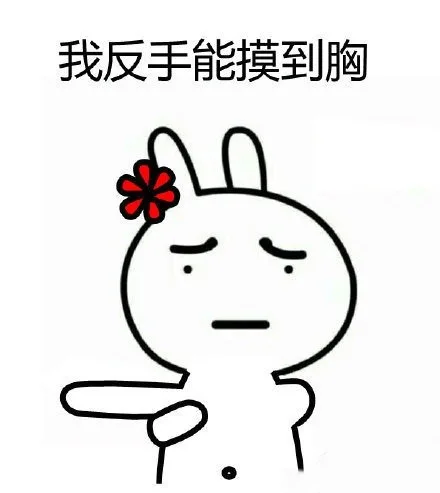 我反手能摸到胸（我反手能摸到胸）