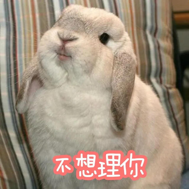 （仙女专用小兔几表情包_小兔几）