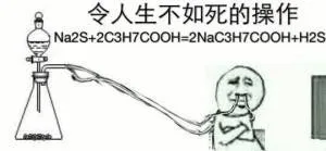 员令人生不如死的操作Na2s+2c3h7cooh-2nac3h7cooh+H2S