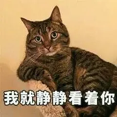 我就静静看着你