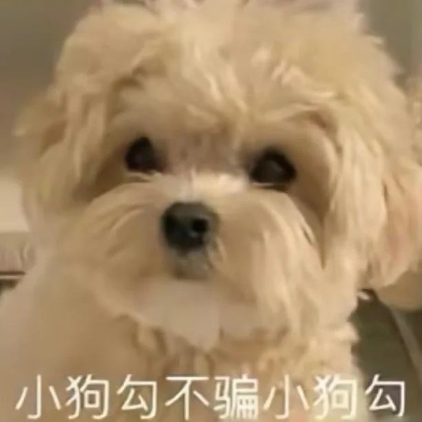小狗勾不骗小狗勾（小狗勾不骗小狗勾）