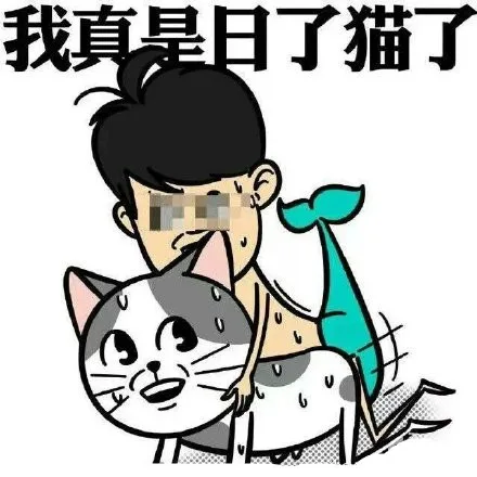 我真是日了猫了