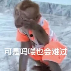 可是吗喽也会难过(吗喽表情包)（可是吗喽也会难过(吗喽表情包)）
