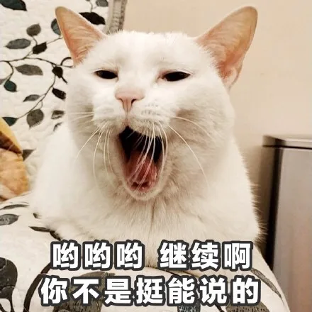 哟哟哟继续啊你不是挺能说的（哟哟哟继续啊你不是挺能说的）