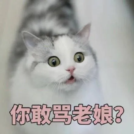 你敢骂老娘