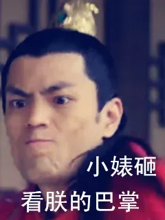 小婊砸，看朕的巴掌
