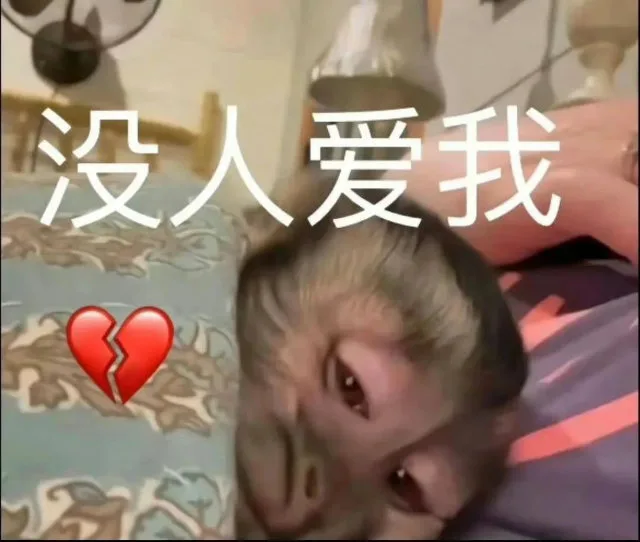 没人爱我（没人爱我）