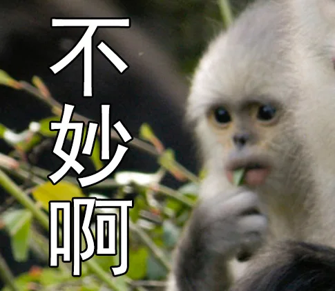 不妙（不妙）