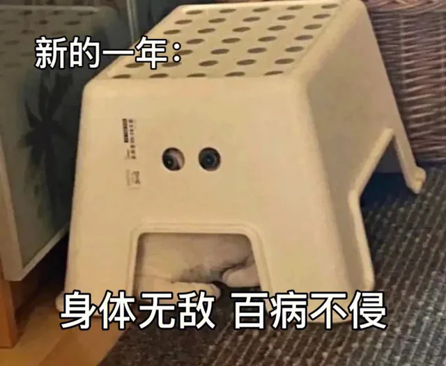 新的一年身体无敌百病不侵（新的一年身体无敌百病不侵）