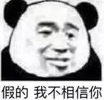 假的 我不相信你（熊猫头）（假的 我不相信你（熊猫头））