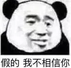 假的 我不相信你（熊猫头）
