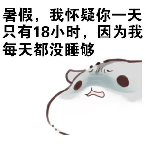 暑假， 我怀疑你一天只有18个小时，因为我每天都没睡够（暑假， 我怀疑你一天只有18个小时，因为我每天都没睡够）