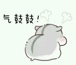 气鼓鼓！（气鼓鼓！）