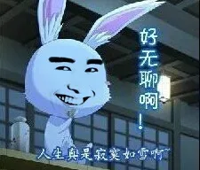 兔子