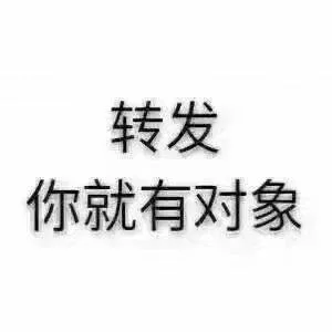 转发你就有对象