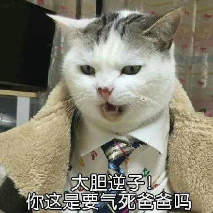 大胆逆子，你这是要气死爸爸吗（大胆逆子，你这是要气死爸爸吗）