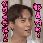 我说什么都是对的（我说什么都是对的）