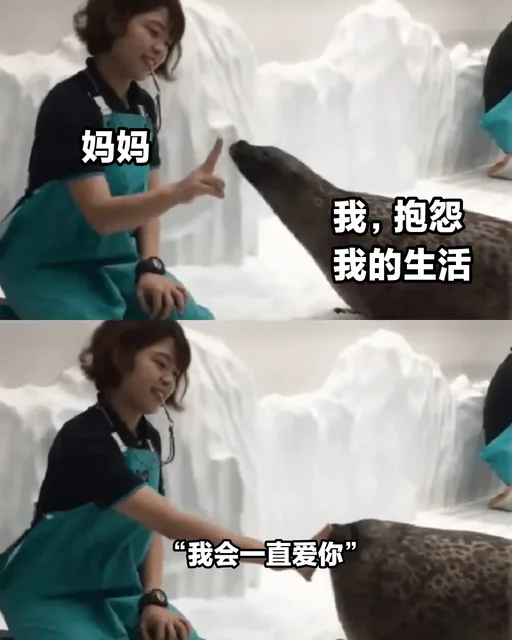 母亲节快乐_母亲节