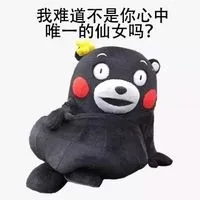 我难道不是你心中唯一的仙女吗？（我难道不是你心中唯一的仙女吗？）