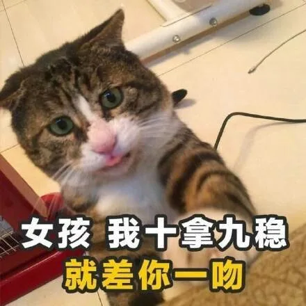 女孩我十拿九稳就差你一吻（女孩我十拿九稳就差你一吻）