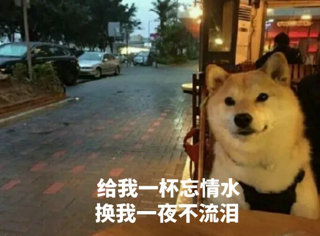 给我一杯忘情水，还我一夜不流泪