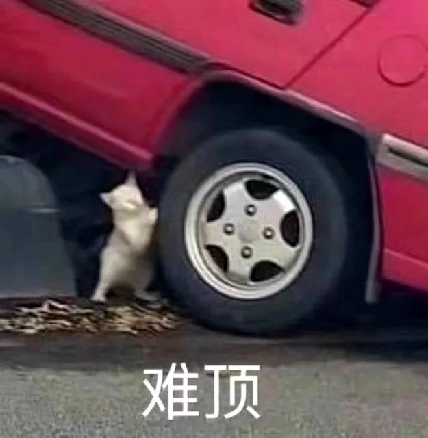 难顶（难顶）