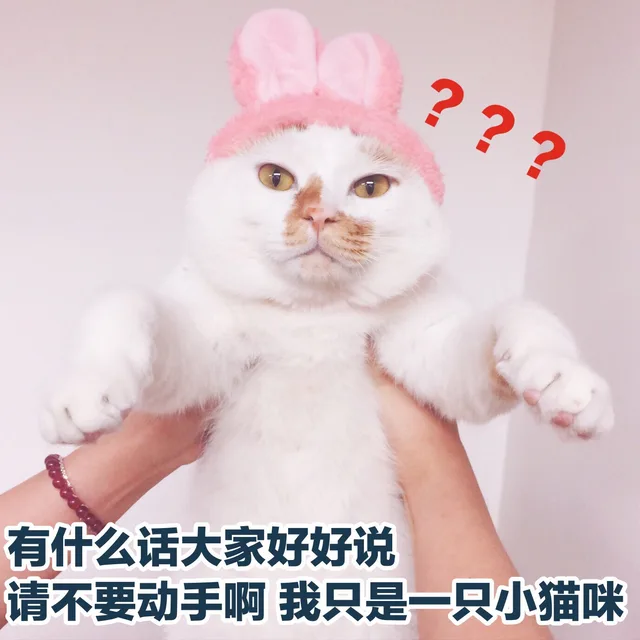 有什么话大家好好说请不要动手啊我只是一只小猫咪（有什么话大家好好说请不要动手啊我只是一只小猫咪）