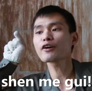 shen me gui ！（什么鬼）