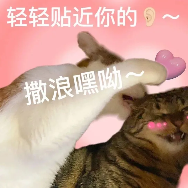 轻轻贴近你的~撒浪嘿呦（轻轻贴近你的~撒浪嘿呦）