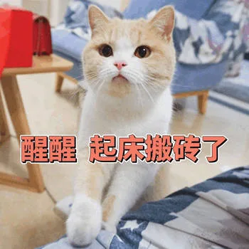 醒醒，起床搬砖了