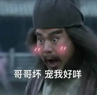 哥哥坏，宠我好咩