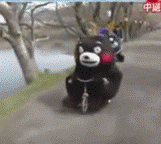 活捉一只过气网红熊本熊_熊本熊_动图_gif