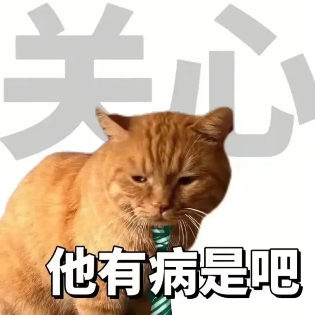 他有病是吧