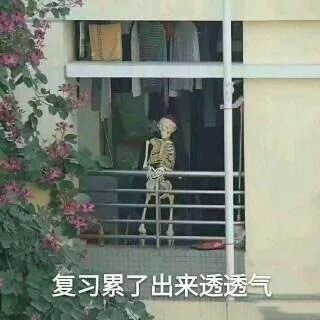 复习累了出来透透气