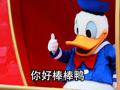 你好棒棒鸭