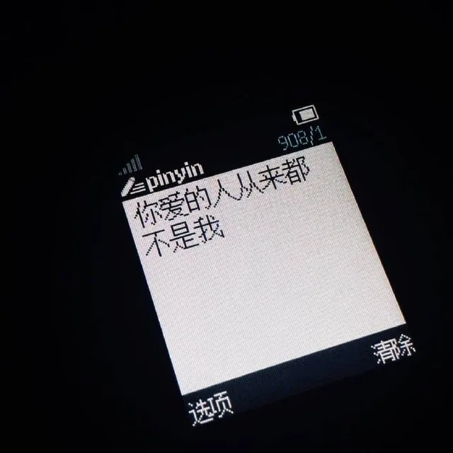 你爱的人从来都不是我（你爱的人从来都不是我）