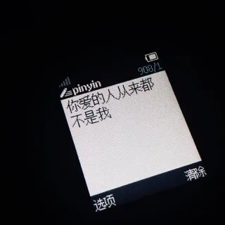 你爱的人从来都不是我