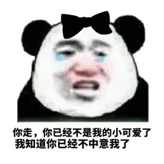 你走，你已经不是我的小可爱了，我知道你已经不中意我了（你走，你已经不是我的小可爱了，我知道你已经不中意我了）