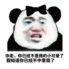 你走，你已经不是我的小可爱了，我知道你已经不中意我了