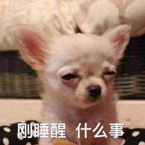 刚睡醒 什么事（狗子）（刚睡醒 什么事（狗子））